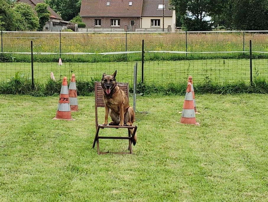 Gite Au Ptit Canin Moyenneville  Eksteriør bilde